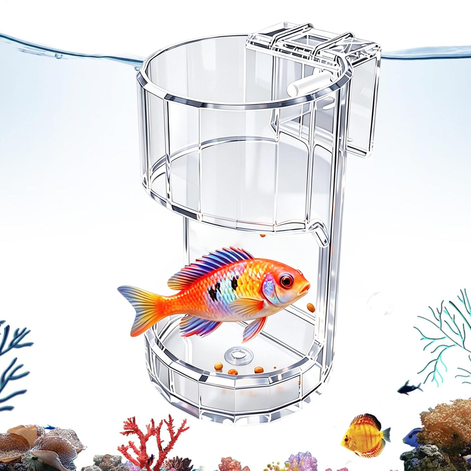 Aquarium Fish Price - 水族館給餌皿透明フードボウルホルダーコンテナ水族館魚フィーダーボックスカメエビベタホームリビングルーム用