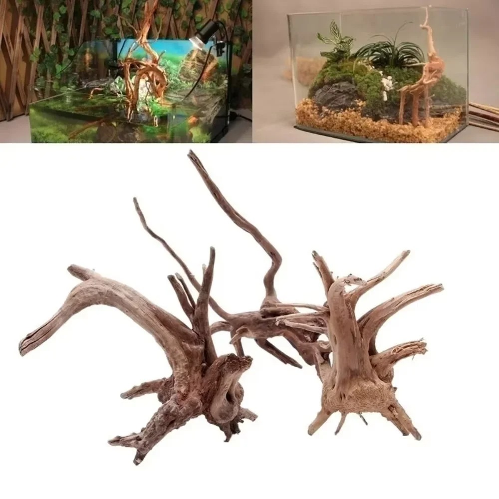 Aquarium Fish Gallery - 15～20cm天然流木水槽飾り - プレミアム木製水槽オーナメント、本物の木製造園で水生環境を演出