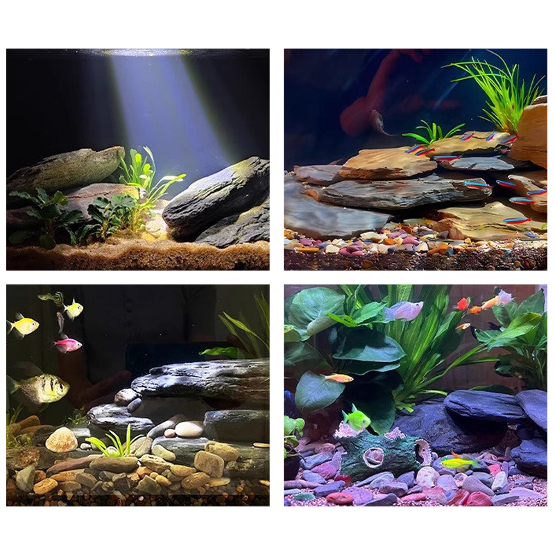 500/1000 グラム水槽造園石キットスレート岩石テラリウ - Aquarium Fish Gallery のレビューと価格