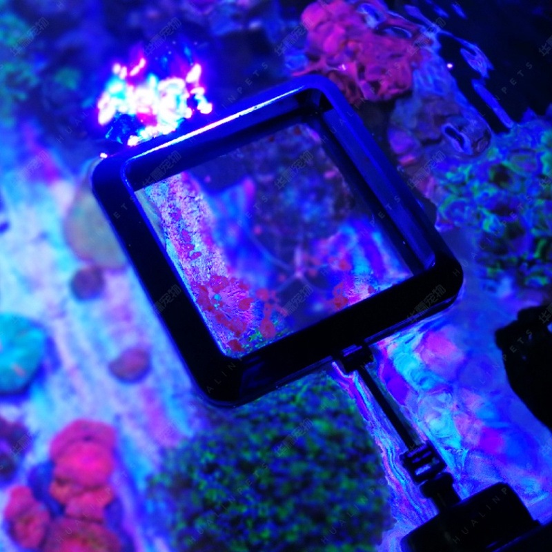 VASTOCEAN 磁気給餌リング 水槽用 浮遊防止 魚用餌 - Aquarium Fish Price のレビューと価格