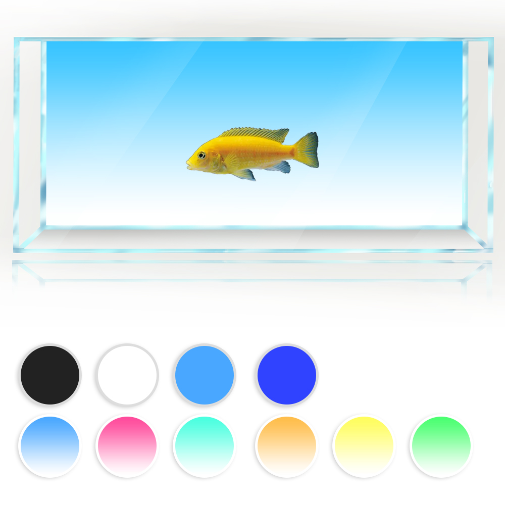 水槽の背景白黄緑青黒グラデーションシンプルな印刷壁紙水族館の - Aquarium Fish Yellow And Black のレビューと価格