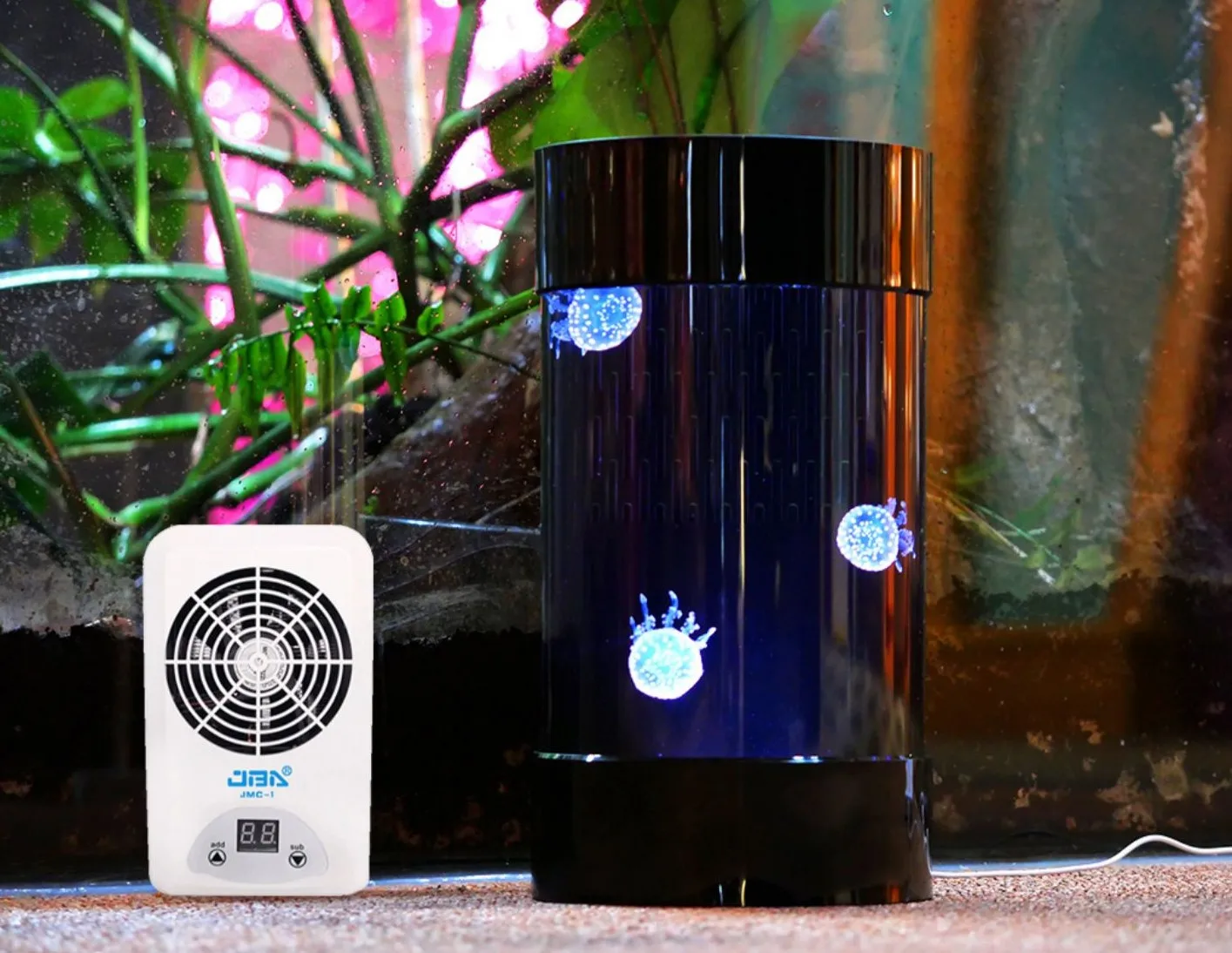 Amazonベストセラー クラゲタンク ホームシリンダー ア - Aquarium Fish Amazon のレビューと価格
