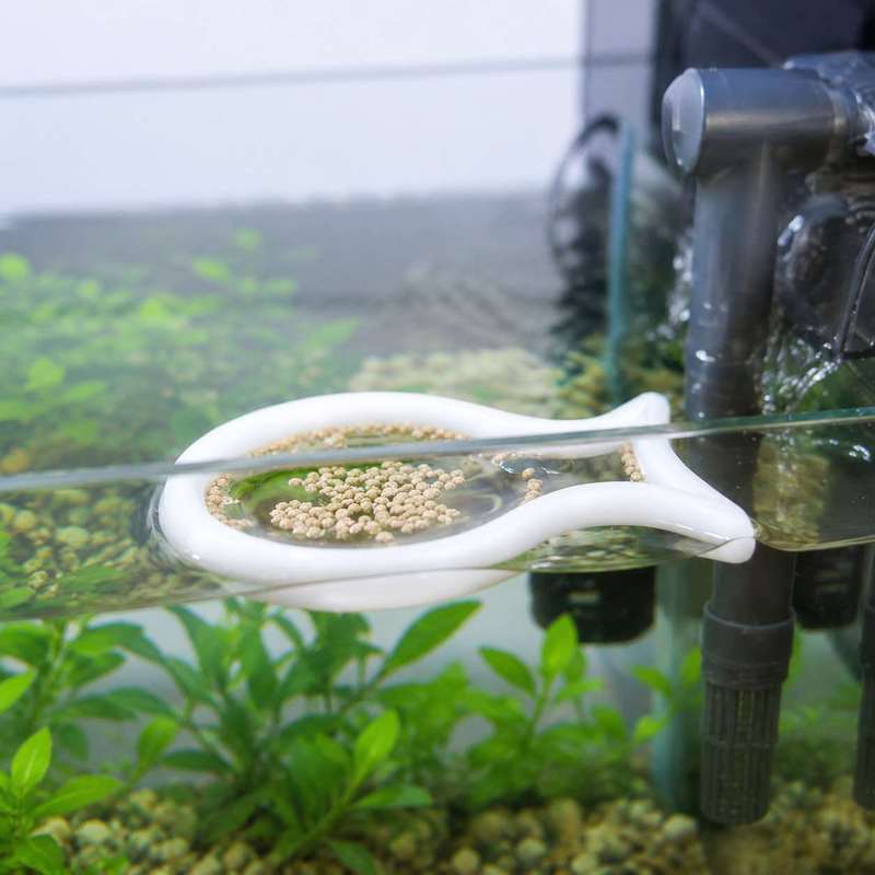 魚の形をした浮遊式餌リング 水槽用魚の餌濃縮サークル 魚タン - Aquarium Fish Price のレビューと価格