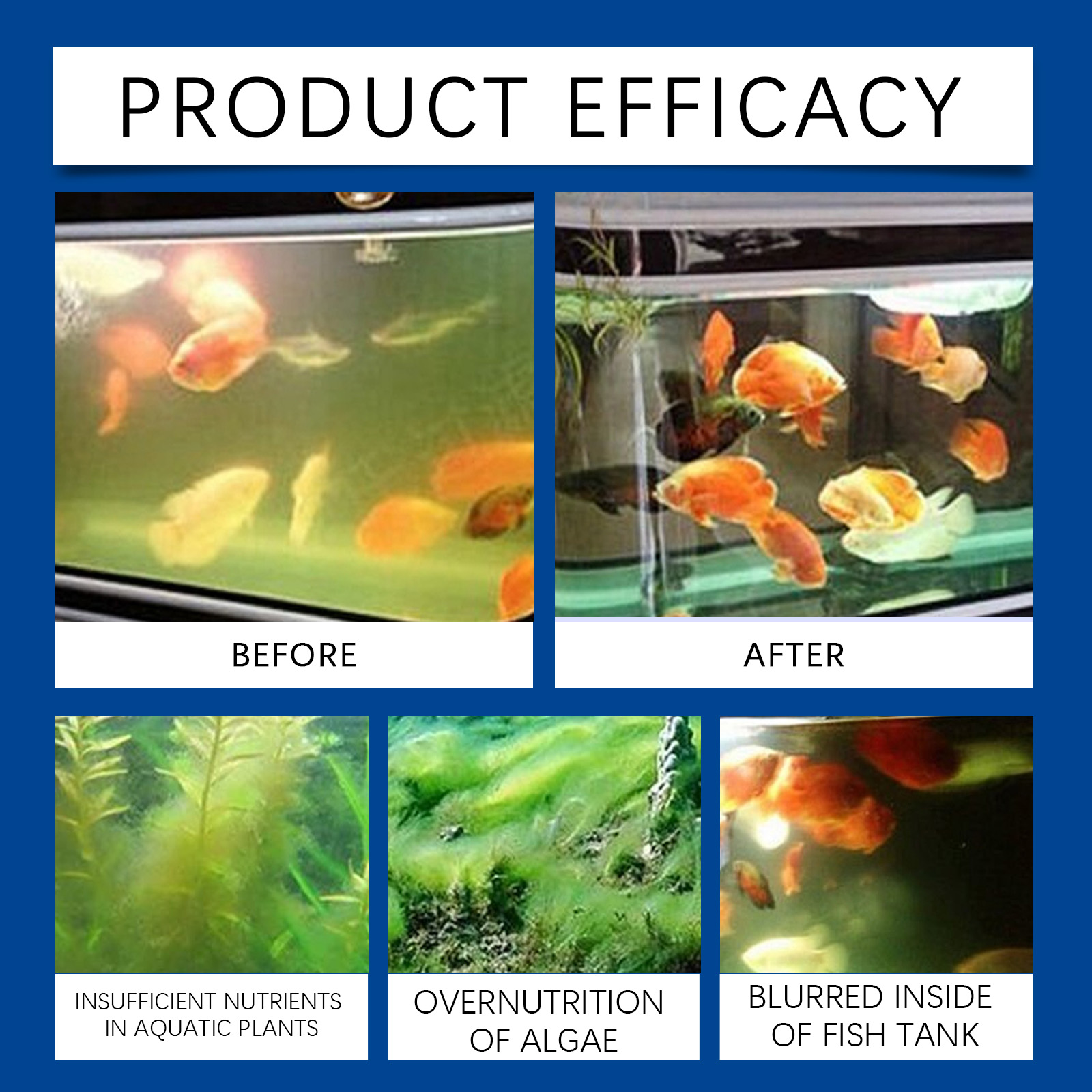 水族館の水精製器 100 ミリリットル淡水海水水槽クリーナー - Aquarium Fish Freshwater のレビューと価格