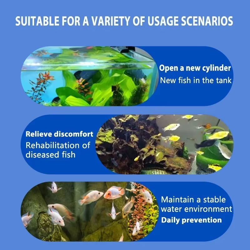 シケザン 魚病治療＆硝化細菌 |   淡水/海水用の抗炎症水 - Aquarium Fish Freshwater のレビューと価格