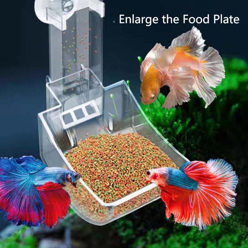 透明な水槽用フィーダーチューブ、吸盤付きアクリル水槽用フード - Aquarium Fish Price のレビューと価格