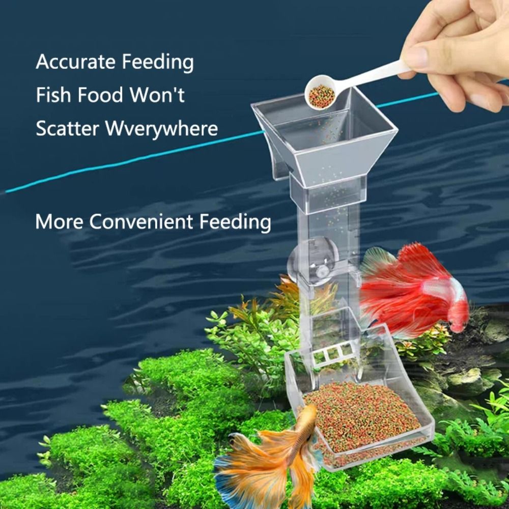 透明な水槽用フィーダーチューブ、吸盤付きアクリル水槽用フード - Aquarium Fish Price のレビューと価格