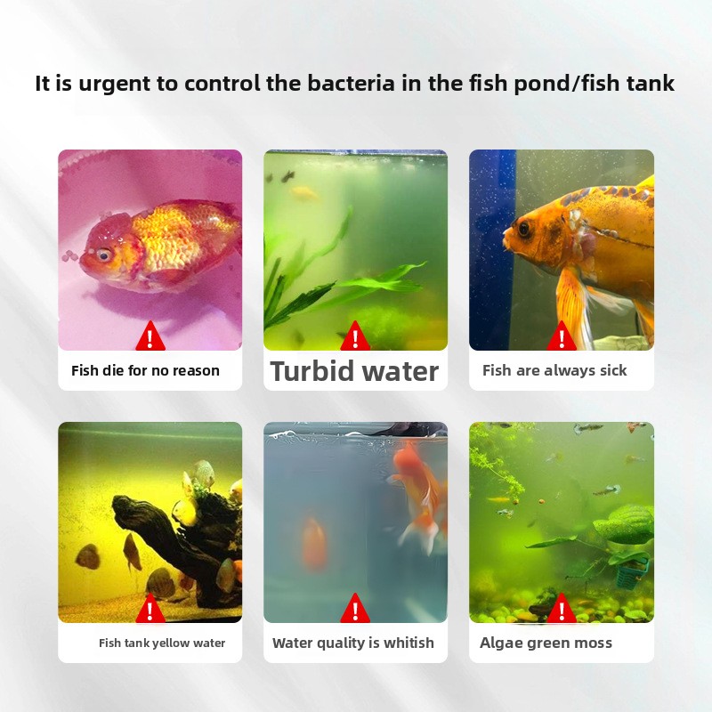 淡水魚用華珠水族館塩 - 病気予防とストレス軽減、健康な魚の - Aquarium Fish Freshwater のレビューと価格