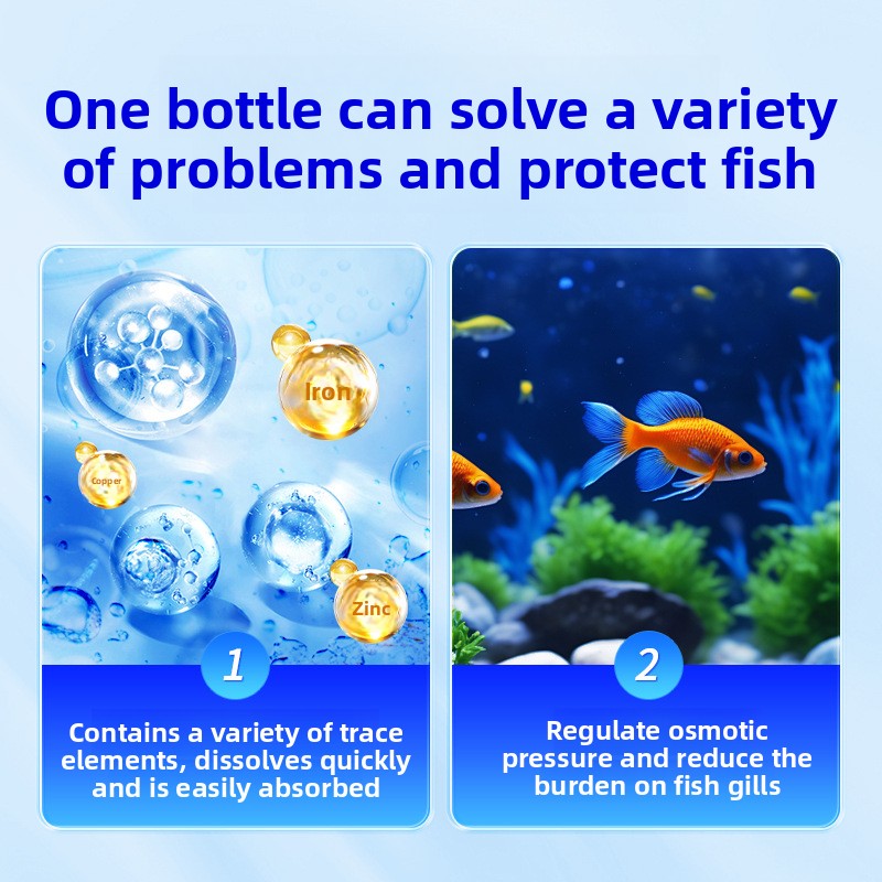 淡水魚用華珠水族館塩 - 病気予防とストレス軽減、健康な魚の - Aquarium Fish Freshwater のレビューと価格