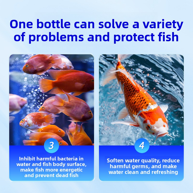 淡水魚用華珠水族館塩 - 病気予防とストレス軽減、健康な魚の - Aquarium Fish Freshwater のレビューと価格