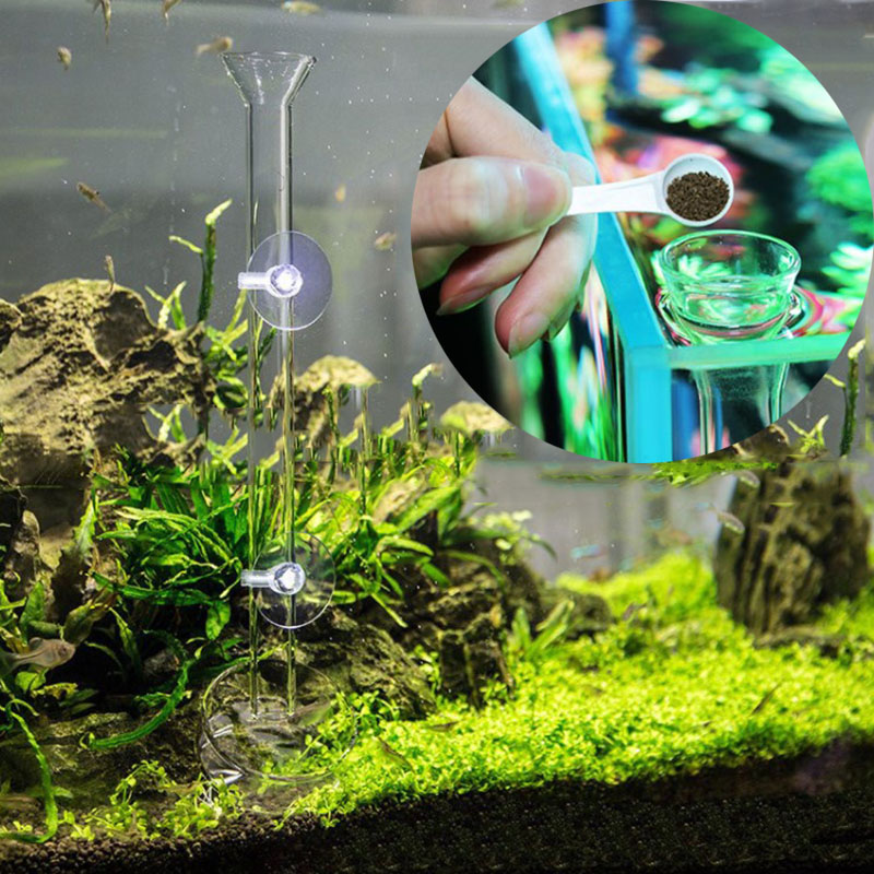 ガラスフィーダー,透明な魚のタンク,グラスファイバー,飼料器 - Aquarium Fish Price のレビューと価格