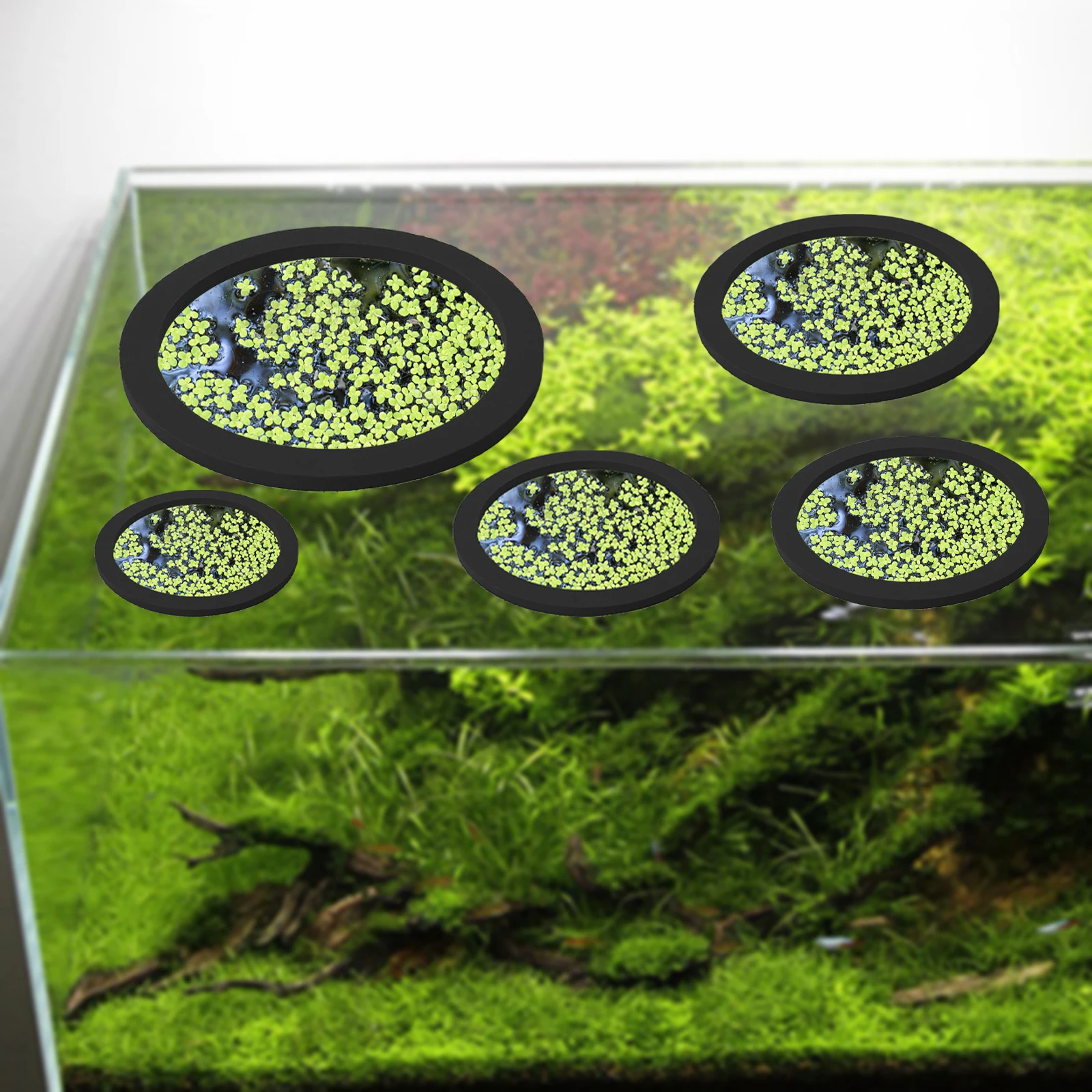 5 個 EVA 魚給餌リング水族館浮遊植物囲い水槽フロート植 - Aquarium Fish Gallery のレビューと価格