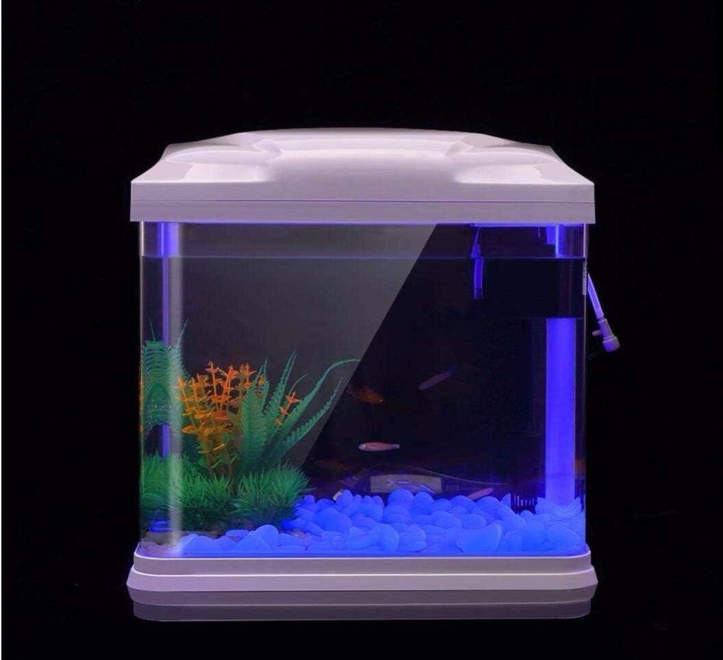 水槽岩グローブルー小石庭用水槽水族館植木鉢盆栽歩道私道 - Aquarium Fish Gallery のレビューと価格