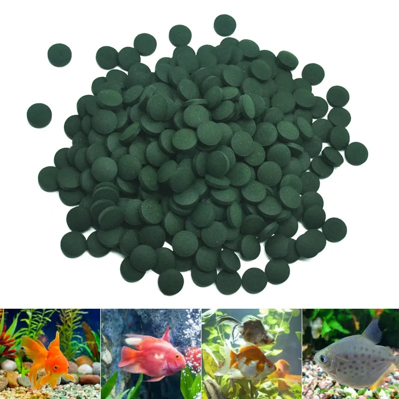 50-300 個高純度スピルリナ錠剤螺旋状海藻濃縮お気に入り - Aquarium Fish Price のレビューと価格
