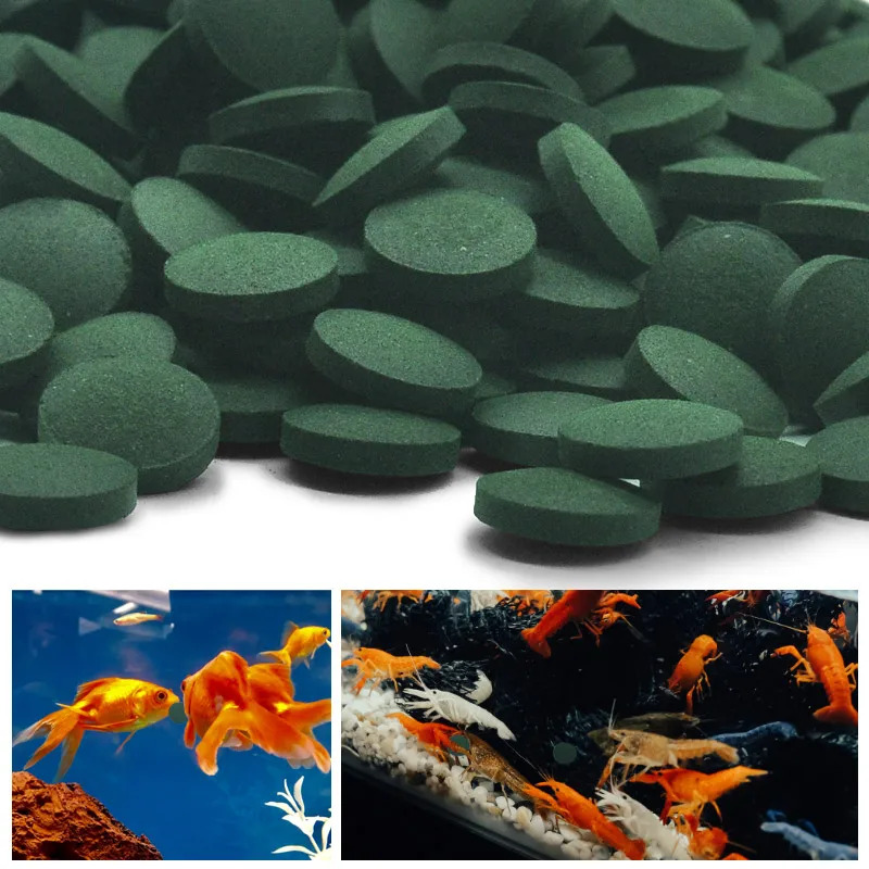 50-300 個高純度スピルリナ錠剤螺旋状海藻濃縮お気に入り - Aquarium Fish Price のレビューと価格