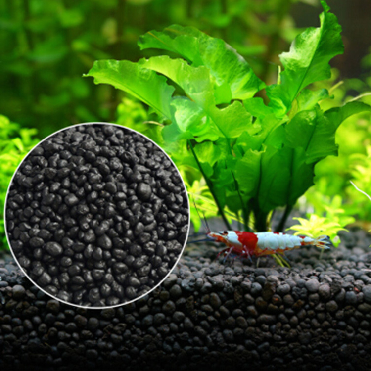 水族館植物の種子,水槽の素材,砂,土壌肥料,魚の手入れ,淡水 - Aquarium Fish Gallery のレビューと価格