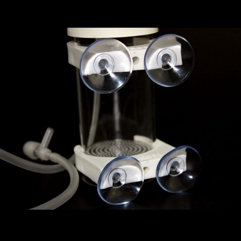 水槽用シクリッドタンブラー魚孵化場インキュベーター卵口内孵化 - Aquarium Fish Usa のレビューと価格