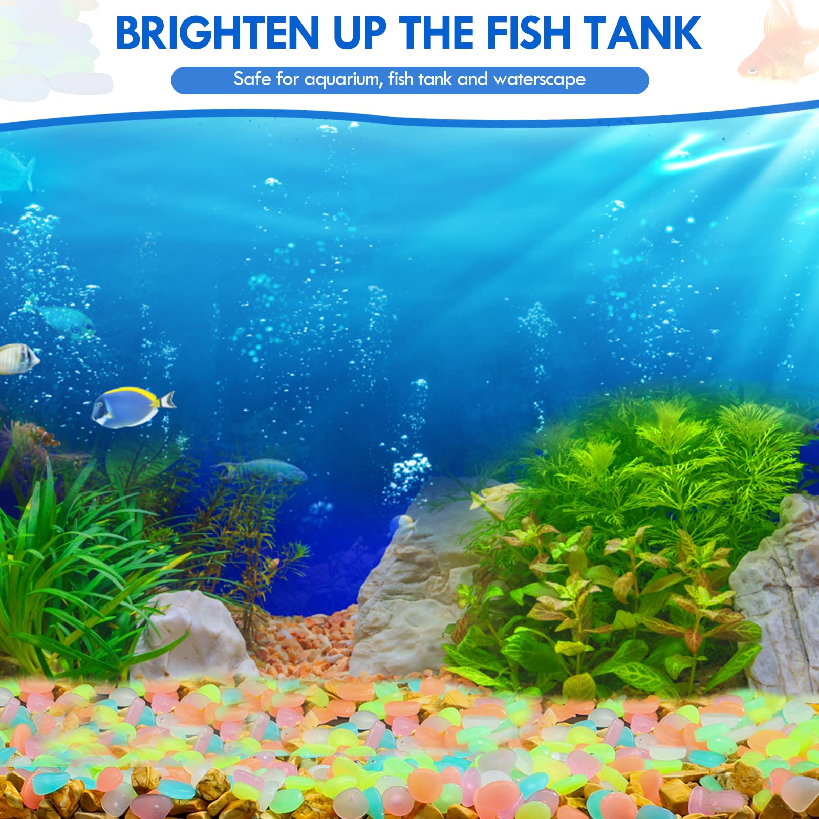 100 個暗闇で光る庭の小石歩道ガーデンテラス芝生庭パティオ - Aquarium Fish Gallery のレビューと価格