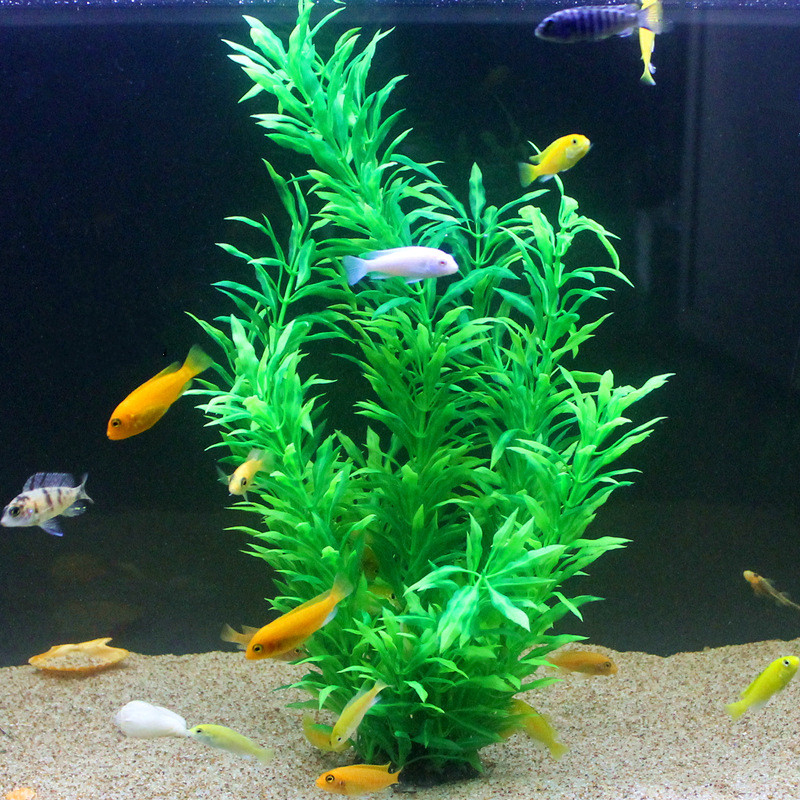 人工水槽50cm,珍しい植物,水族館,偽の竹の葉,水草,プラ - Aquarium Fish Gallery のレビューと価格