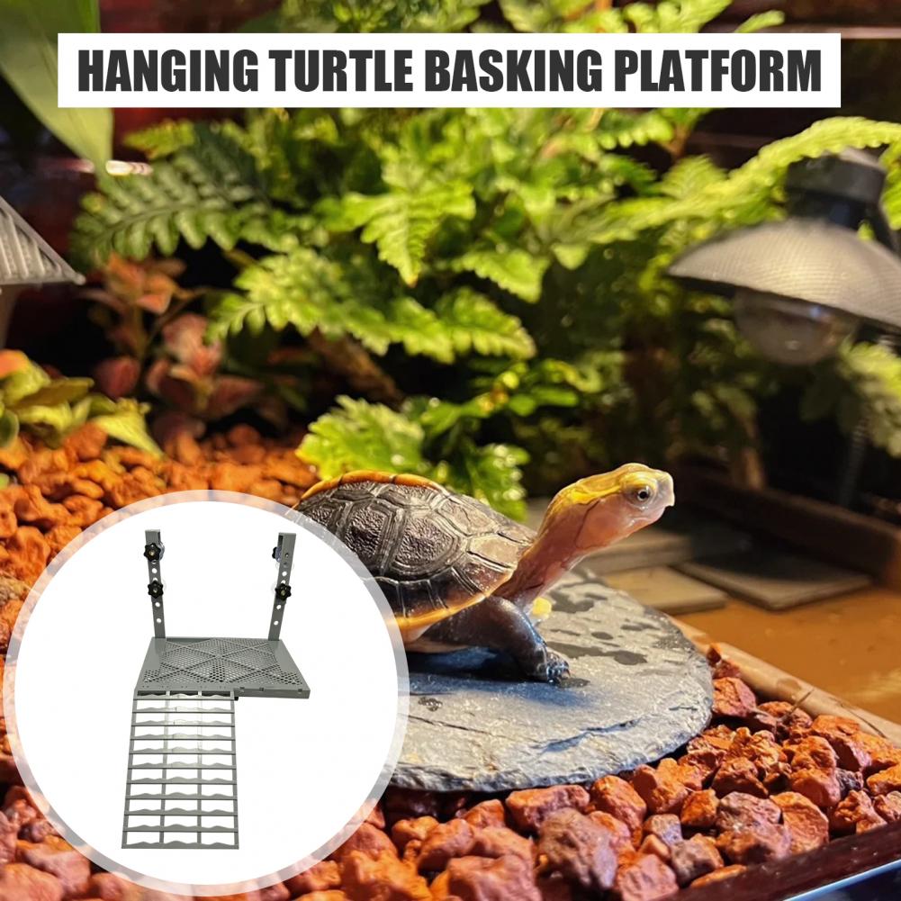 水槽用装飾品 固形吊り下げ式カメ用日光浴台 吸盤付き 滑り止 - Aquarium Fish Gallery のレビューと価格