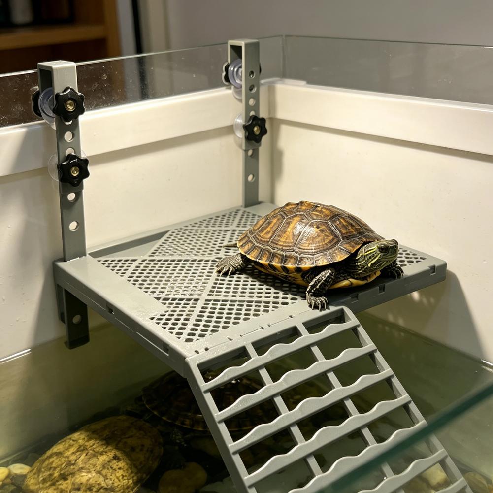 水槽用装飾品 固形吊り下げ式カメ用日光浴台 吸盤付き 滑り止 - Aquarium Fish Gallery のレビューと価格