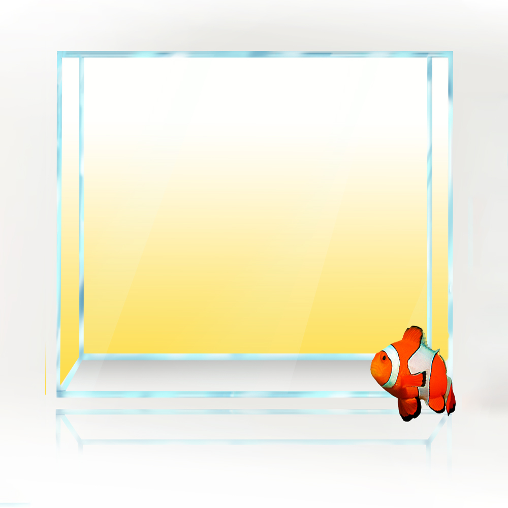 正方形の水槽の背景白黄緑青黒グラデーションシンプルな印刷壁紙 - Aquarium Fish Yellow And Black のレビューと価格